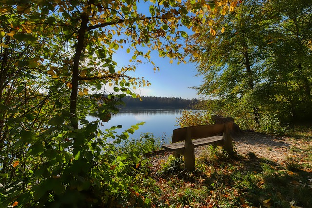 场通常采用 场通常采用