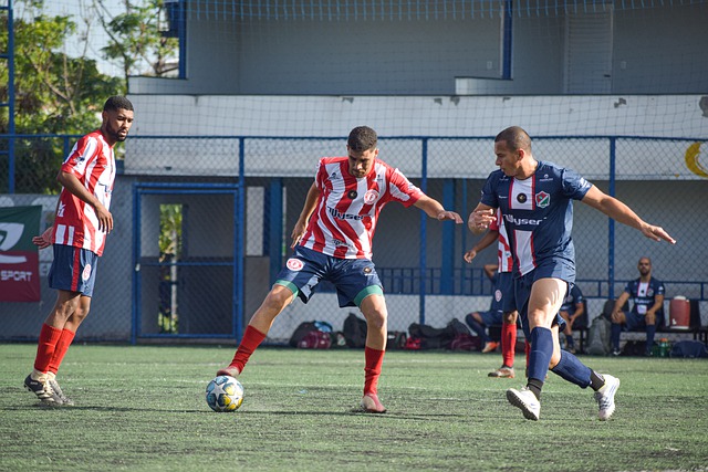 世界的记忆 世界的记忆