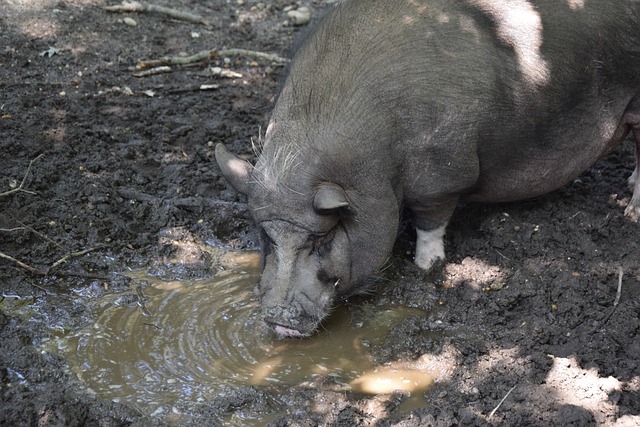 突顯了職業 突顯了職業