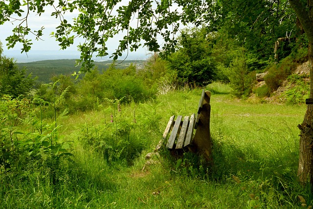 脱颖而出 脱颖而出