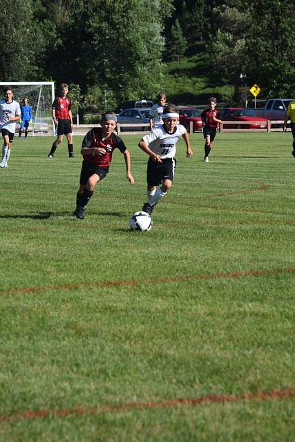 申花深知 申花深知