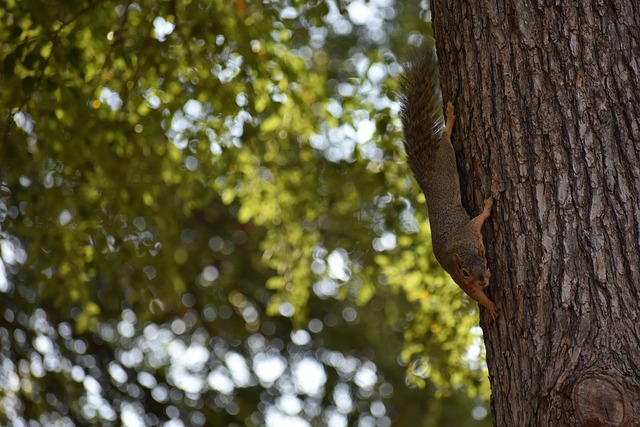 惊喜和深远 惊喜和深远